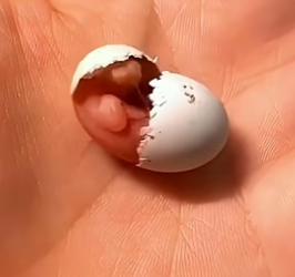 D1104001 Things fade… kindness stays. What do you choose today?