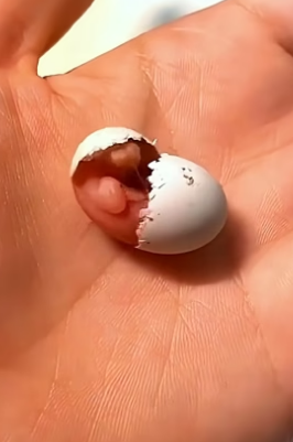 D1104001 Things fade… kindness stays. What do you choose today?