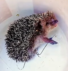 D1104002 What matters more: what you own or what you save?