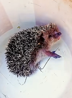 D1104002 What matters more: what you own or what you save?