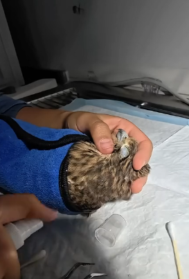 D1104003 Happiness from shopping lasts days… saving a life lasts forever