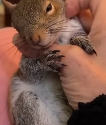 D1104006 You can buy luxury… or you can create hope (Part 2)