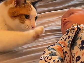 F1104002 You can scroll… or you can save (Part 2)