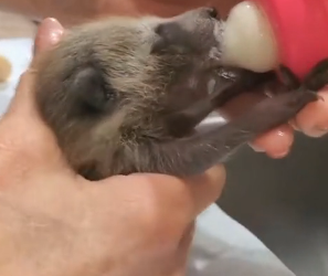 F1204002 Upgrade your style… or upgrade a life? (Part 2)