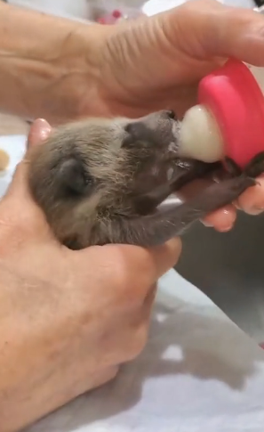 F1204002 Upgrade your style… or upgrade a life? (Part 2)