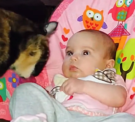 F1204003 Temporary or timeless? (Part 2)