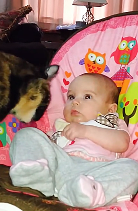 F1204003 Temporary or timeless? (Part 2)