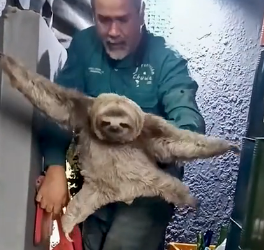 H1104003 Silence costs lives. Kindness saves them. (Part 2)