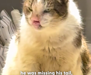 H1104004 What you skip today could save a life tomorrow. (Part 2)