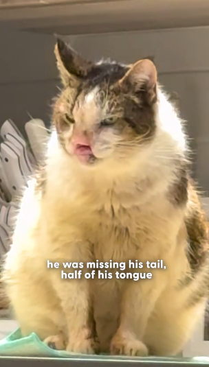 H1104004 What you skip today could save a life tomorrow. (Part 2)