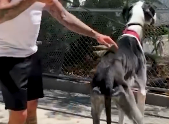 H1104005 Your choice writes their story. (Part 2)