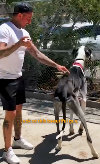 H1104005 Your choice writes their story. (Part 2)