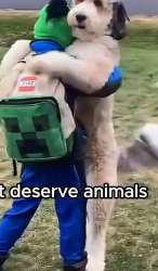 D0304006 We dont deserve animals (Part 2)