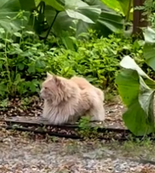 H1204004 Compassion is always the right choice (Part 2)