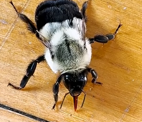 H1204003 Give them the life they deserve (Part 2)