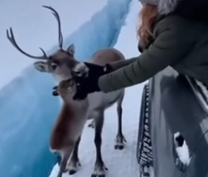 D0804006 A mother’s heart (Part 2)