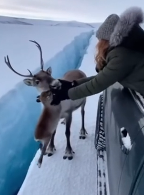 D0804006 A mother’s heart (Part 2)