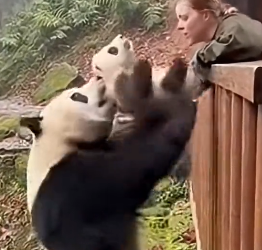 Z0904003 Love Unbroken (Part 2)