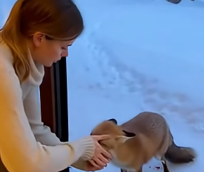 Z0904004 Courage to Save (Part 2)