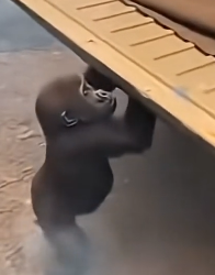 Z1204001 A choice for you… a miracle for them. (Part 2)