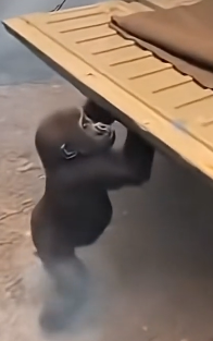 Z1204001 A choice for you… a miracle for them. (Part 2)