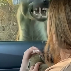 Z1204002 If you can spend… you can save. (Part 2)