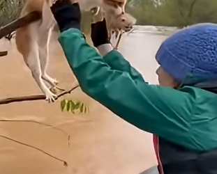 Z1204003 You had the chance — what did you choose? (Part 2)