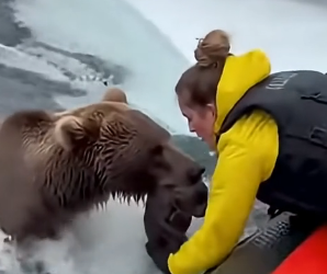 Z1204004 Don’t say you care… show it. (Part 2)