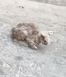 H1204010 A full closet… or a full heart? (Part 2)