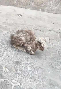 H1204010 A full closet… or a full heart? (Part 2)