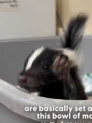 H1204011 More comfort for you… or a chance for them? (Part 2)