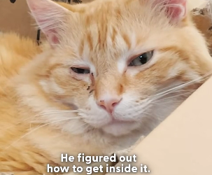 H1404004 Upgrade your home… or save someone without one? (Part 2)