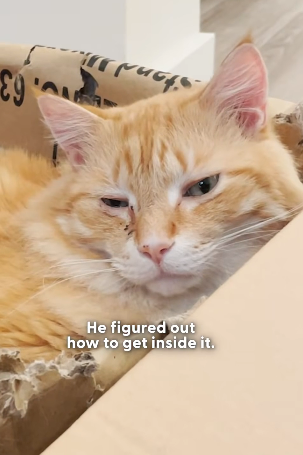 H1404004 Upgrade your home… or save someone without one? (Part 2)