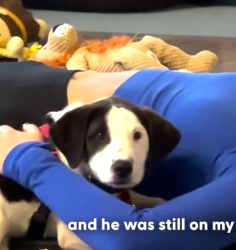 H1404005 Spend on comfort… or spend on compassion? (Part 2)