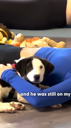 H1404005 Spend on comfort… or spend on compassion? (Part 2)