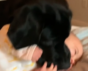 F1404002 Leave them behind… or bring them home? (Part 2)