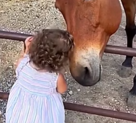 F1404003 Watch silently… or act bravely? (Part 2)