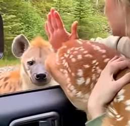 Z1204006 Everyone wants change… few actually act. (Part 2)