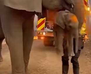 Z1404001 Build memories… not just collections (Part 2)