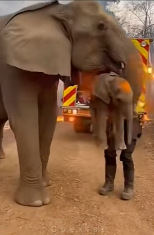 Z1404001 Build memories… not just collections (Part 2)