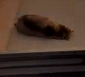 Z1404004 Doing nothing is also a choice (Part 2)