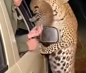 Z1404005 What you ignore today may not survive tomorrow (Part 2)