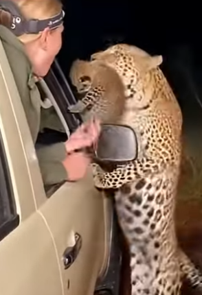 Z1404005 What you ignore today may not survive tomorrow (Part 2)