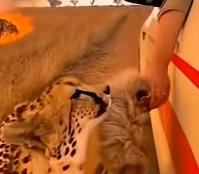 Z1404006 It’s not about money — it’s about heart (Part 2)