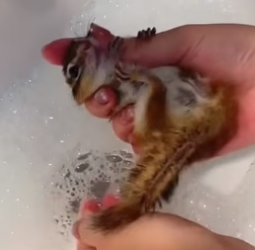 E1204009 More stuff or more meaning? (Part 2)