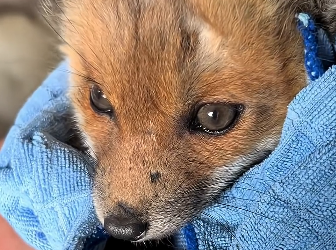 E1204011 A moment of joy or a lifetime of impact? (Part 2)