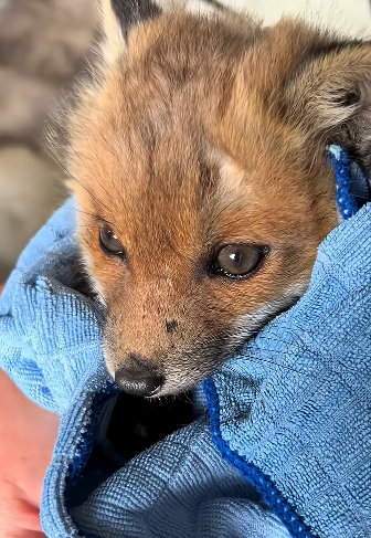 E1204011 A moment of joy or a lifetime of impact? (Part 2)