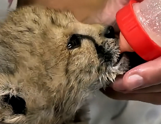 E1504006 Now or never? (Part 2)