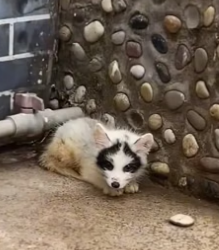 F1404005 Someone else will help… or you will? (Part 2)