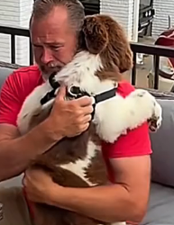 F1404006 Wait… or rescue now? (Part 2)